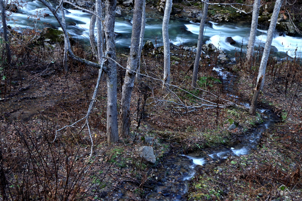 晩秋渓流Ⅳ