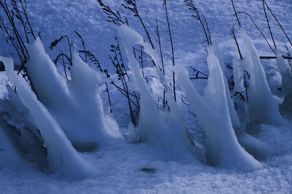 凍てつく石狩川河口