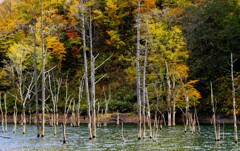 落合ダム湖
