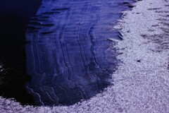 春遠い氷の世界