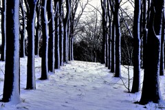 冬がやって来たⅡ