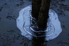 冬近し(氷) 冬近し(氷)