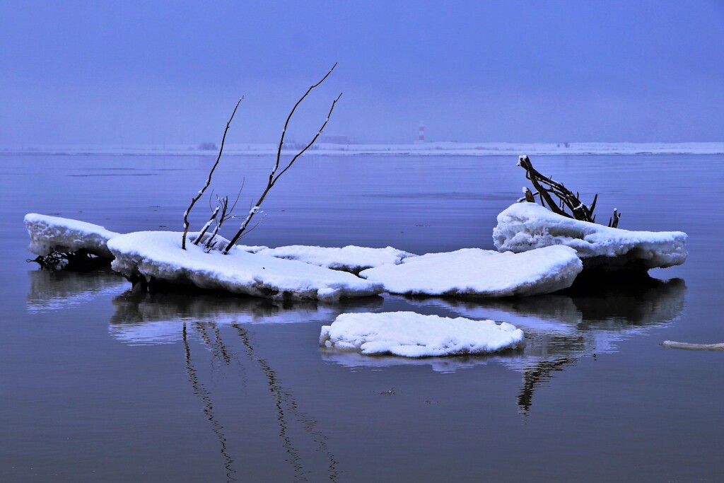 春がやって来るⅡ