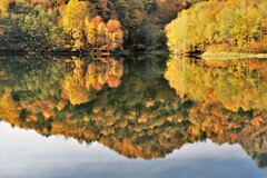 札幌湖(映り込み）