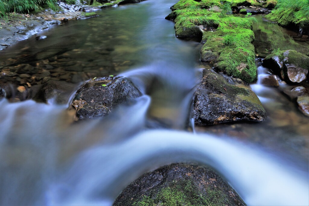 流れに身をまかせⅣ