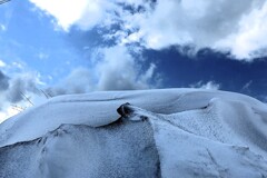雪映(蔵出)は 雪映(蔵出)は