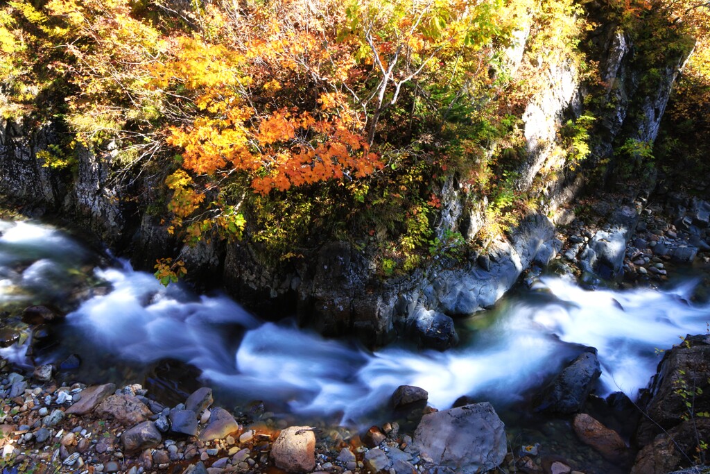 定山渓白井川渓流