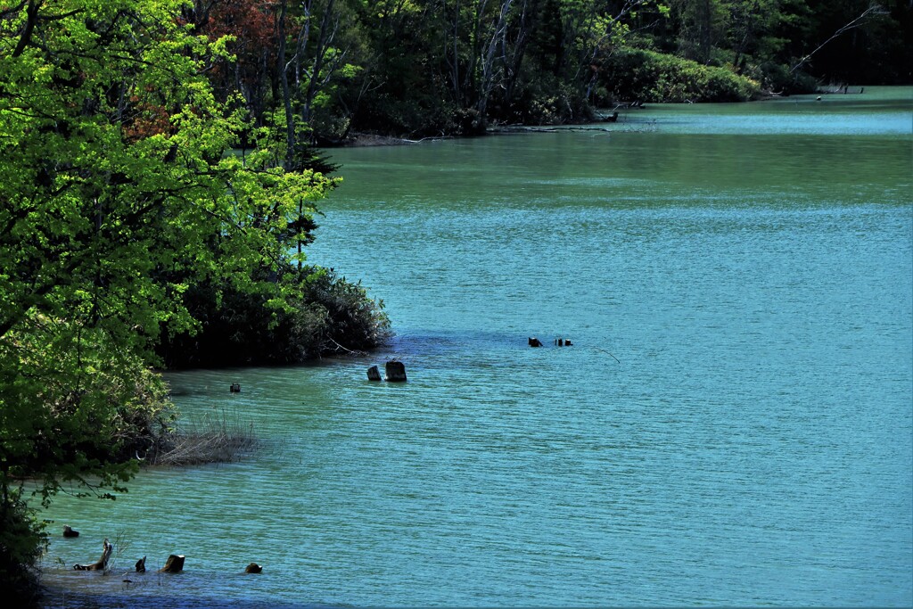 ふくろう湖(当別ダム湖）