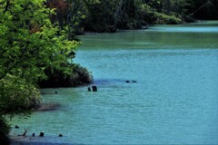 ふくろう湖(当別ダム湖）