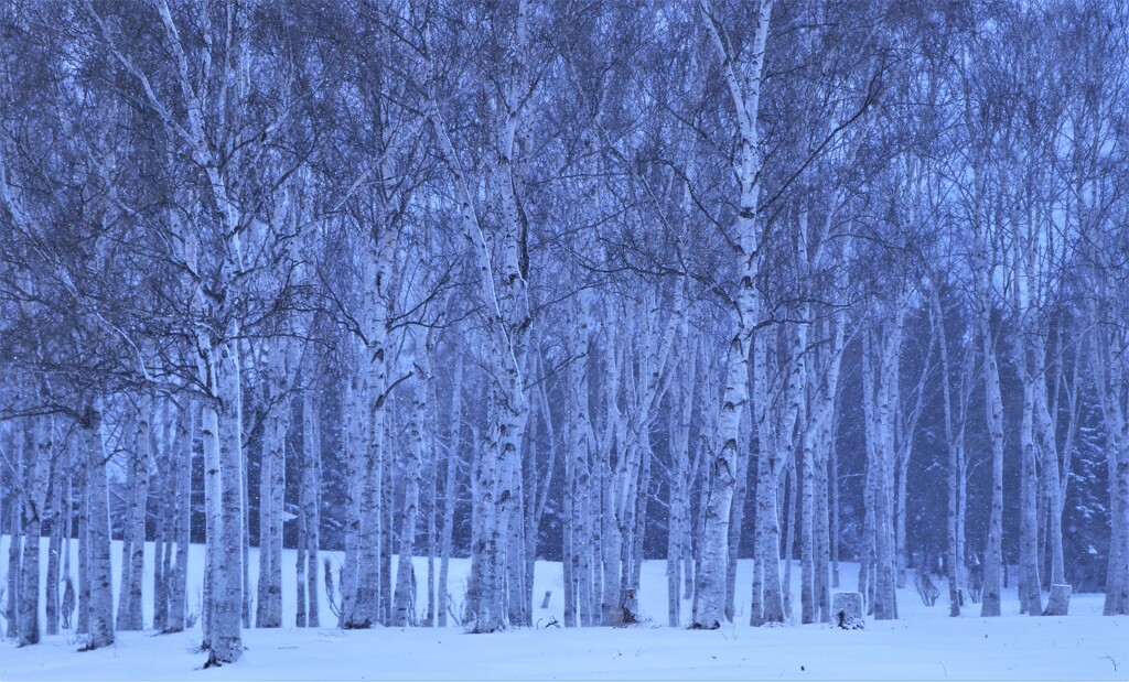 公園の冬景色Ⅰ