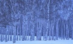 公園の冬景色Ⅰ