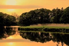 農業用溜池夕陽