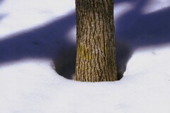 今年は遅い雪解け