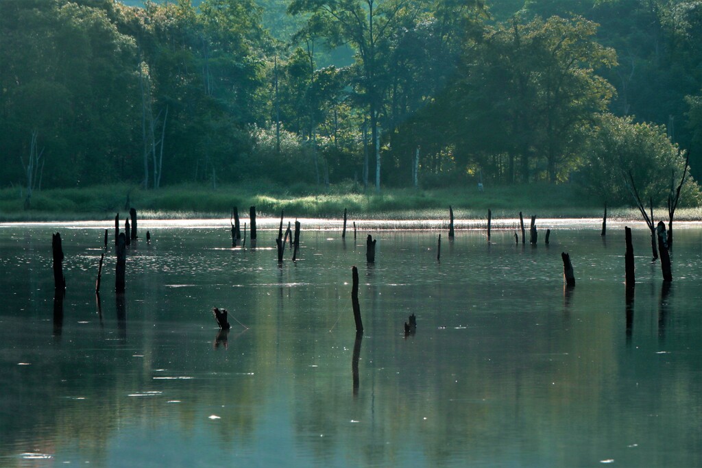 赤井川村落合ダム湖