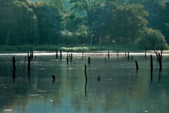 赤井川村落合ダム湖