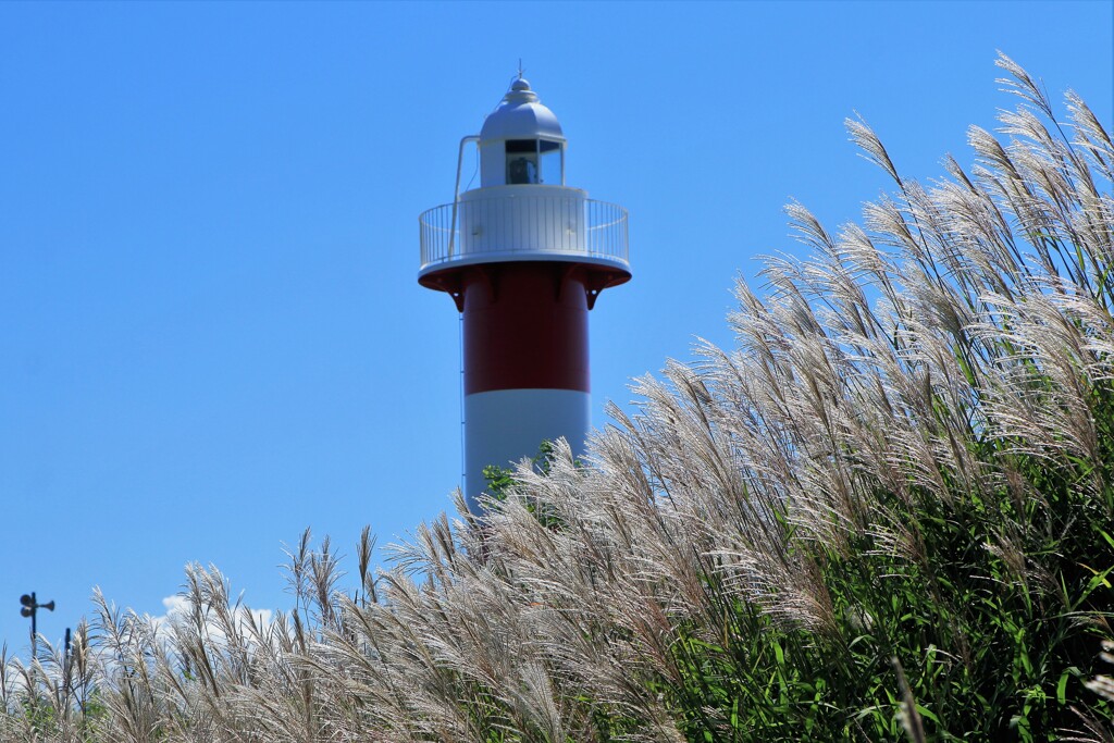 秋がやって来る