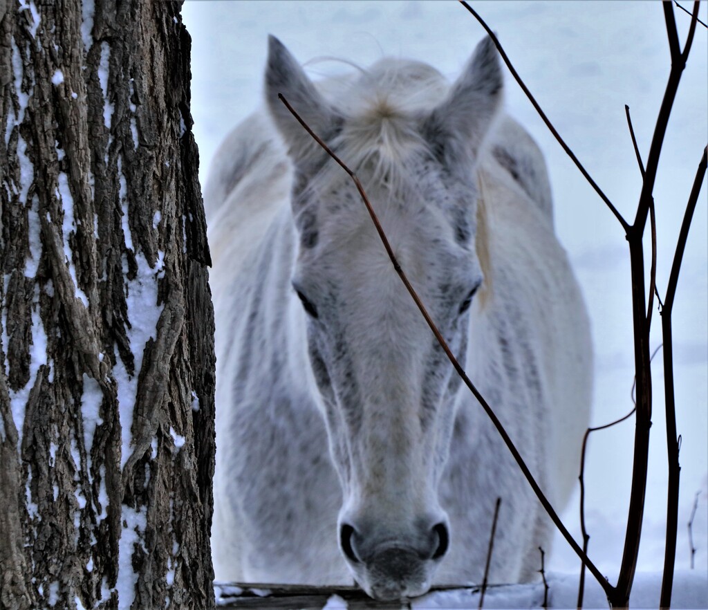 おなかすいた～