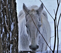 おなかすいた～