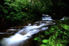 余市川支流朝里沢川