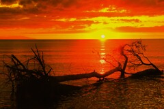 石狩川河口浜夕日Ⅱ