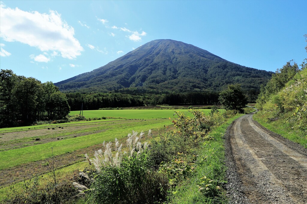 京極町羊蹄山登山口