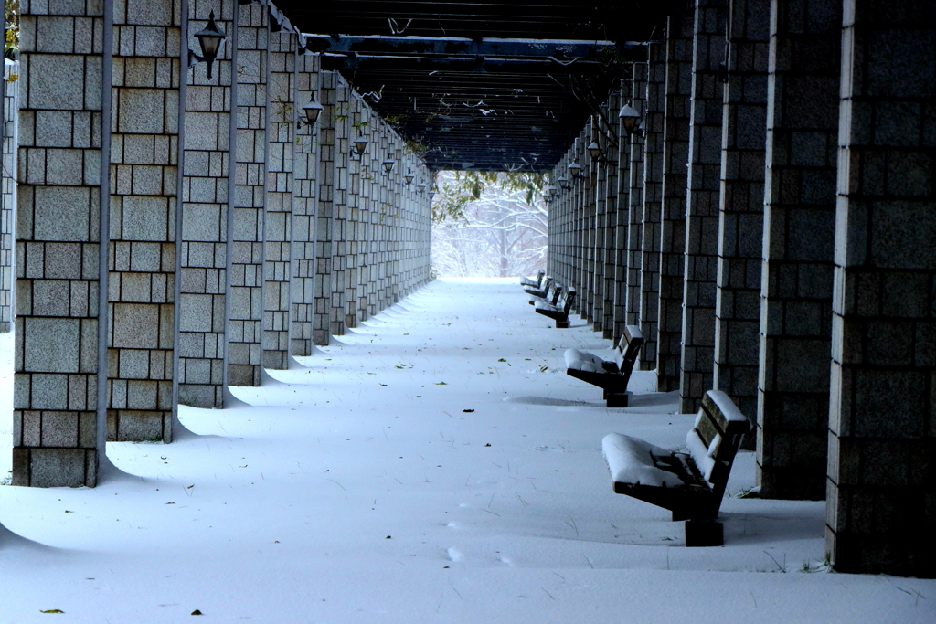 誰もいないベンチ