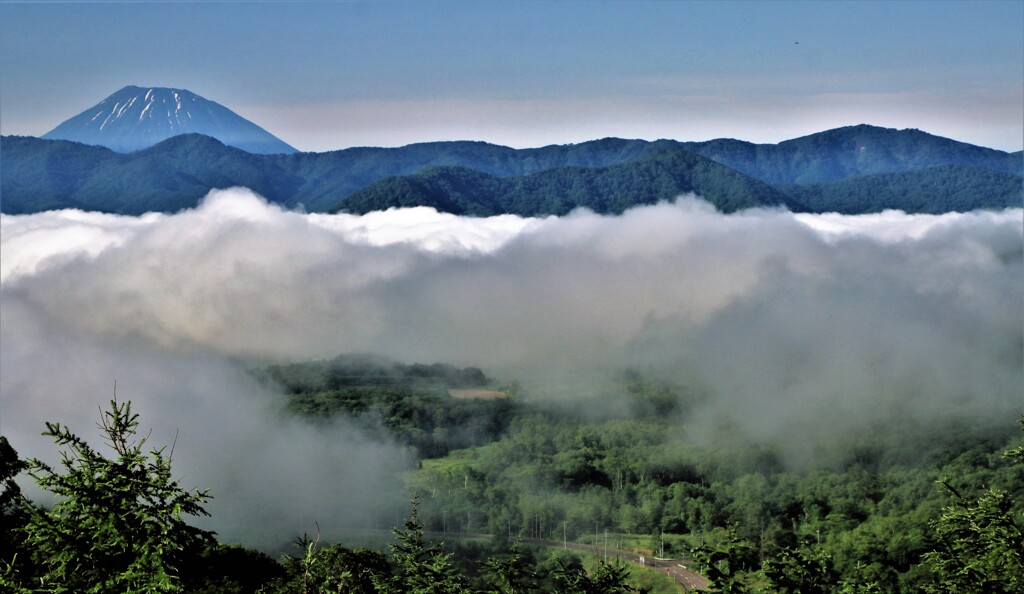 雲海