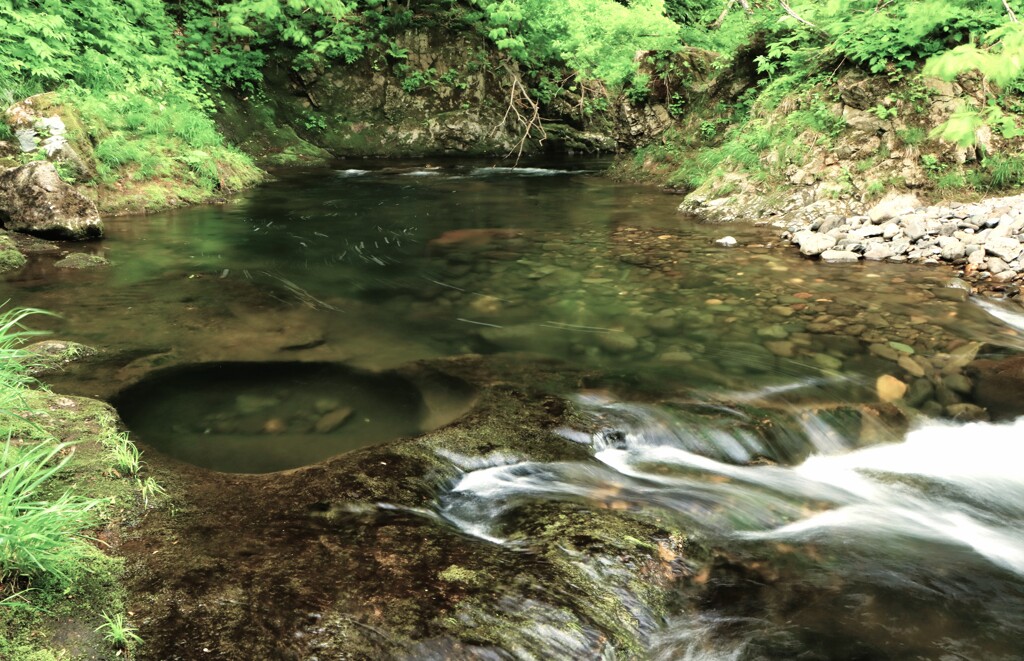 渓流（定山渓白井川）