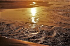 夕陽の引き潮(蔵出）