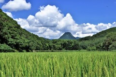 今年も豊作だ～