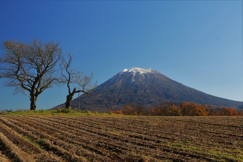 晩秋もう冬も近いのね(羊蹄山）