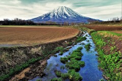 羊蹄山Ⅰ