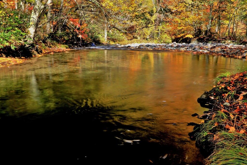 燃える秋（定山渓白井川）