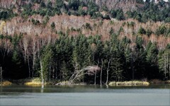 晩秋の当別ダム湖