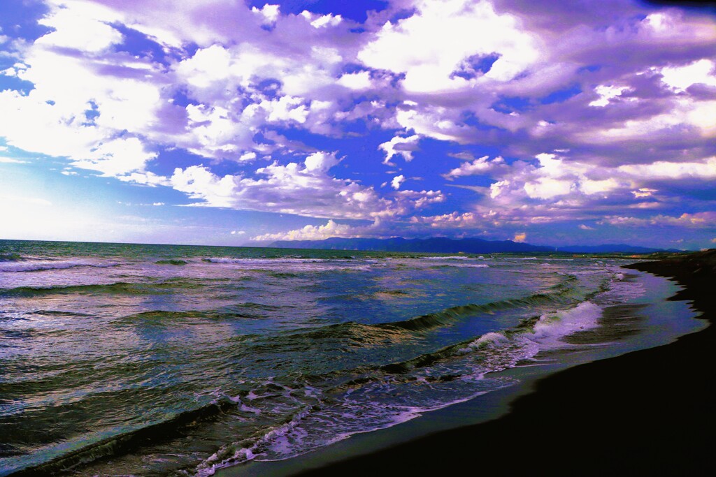 夏の海