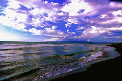 夏の海