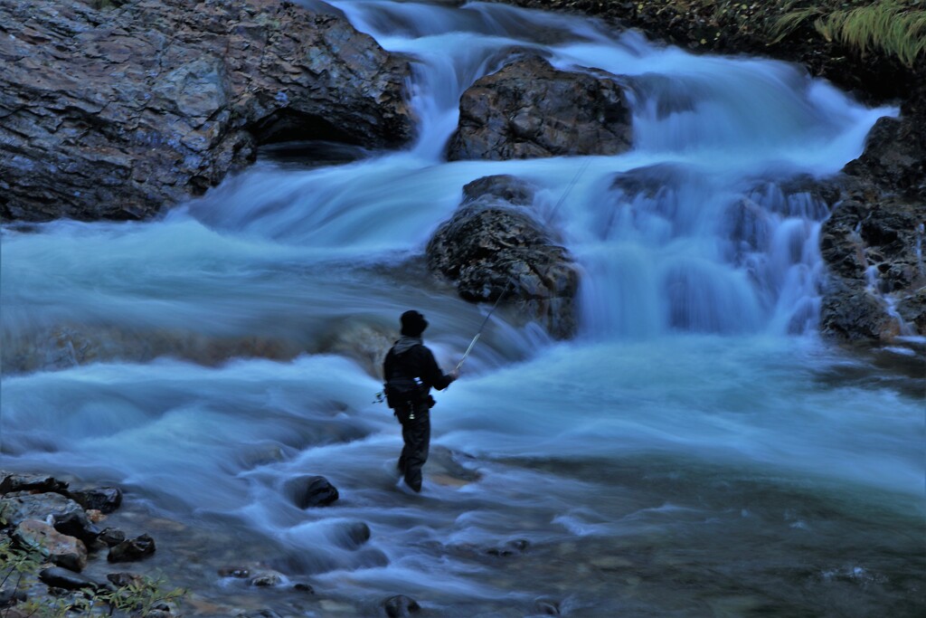 渓流釣り師