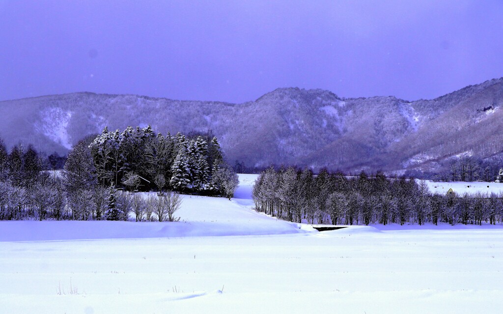 冬景色（蔵出）