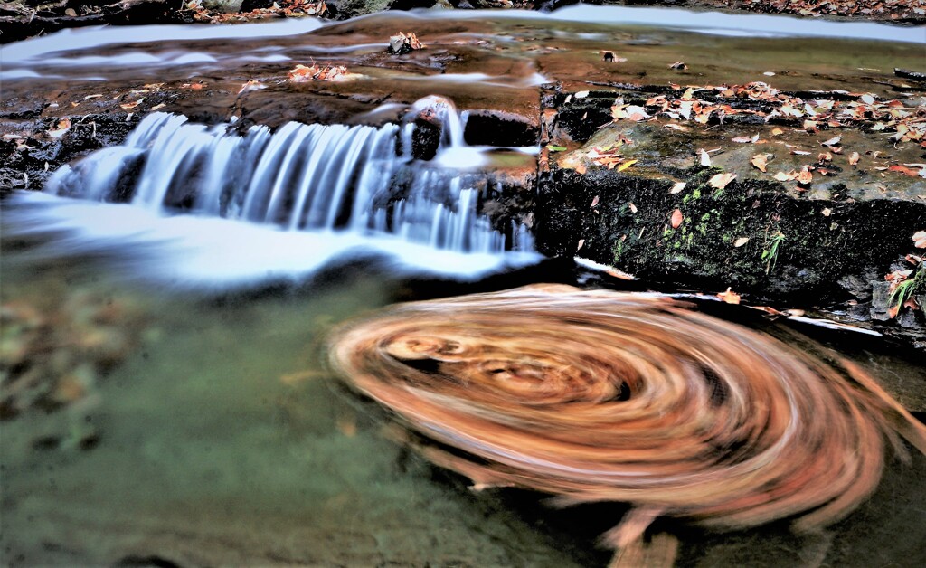 目が回る(蔵出再投稿）