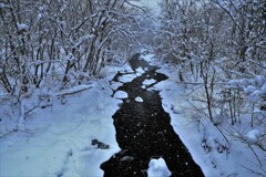 あ～川の流れのように♪