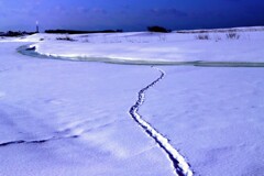 石狩旧知津狩川と獣道