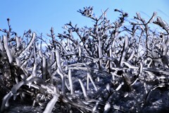 氷の世界Ⅱ