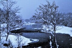 あ～川の流れのように♪