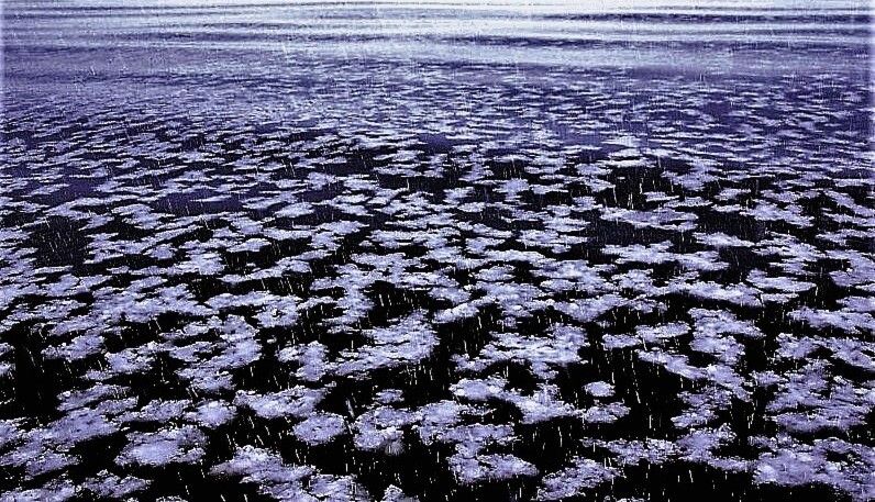 雪の花（蔵出、再投稿）