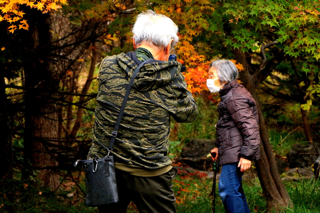 ハイポーズ来年も元気で見に来ましょうね♪