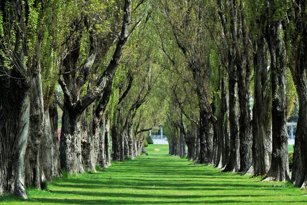 新緑の季節に～
