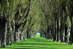 新緑の季節に～