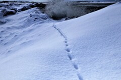 吸い込まtれる？？