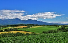 北の国(美瑛の丘）