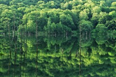 落合ダム湖